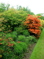 ���� � ����� ������: Sissingherst, ����� 3.����