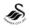 ������ ���� (Swansea City)